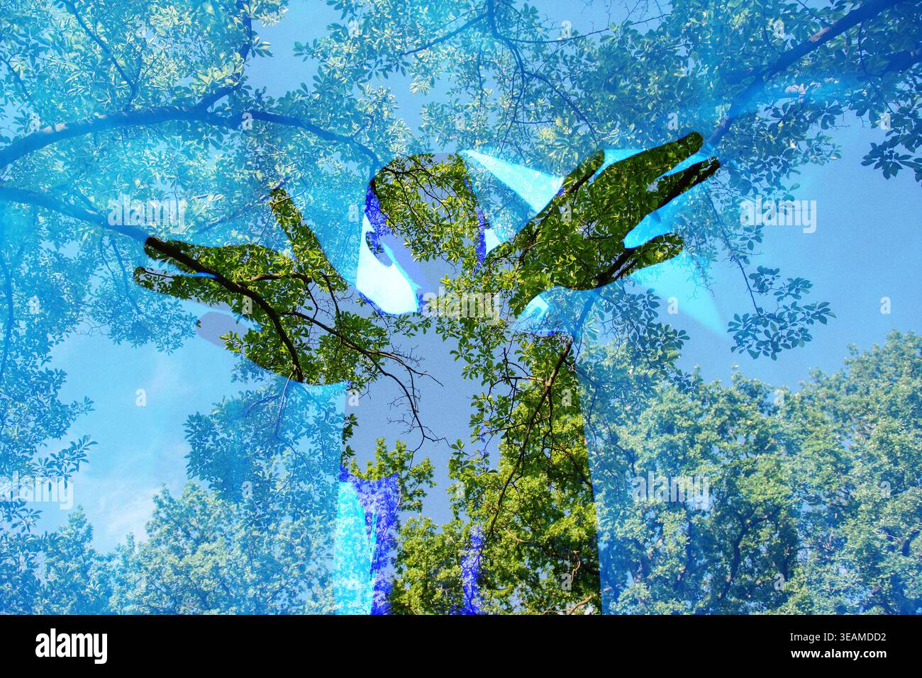 Doppia esposizione concettuale di una figura umana e di alberi. Simbolo di unità con la natura, l'ecologia, la consapevolezza ambientale e la connessione spirituale. Foto Stock