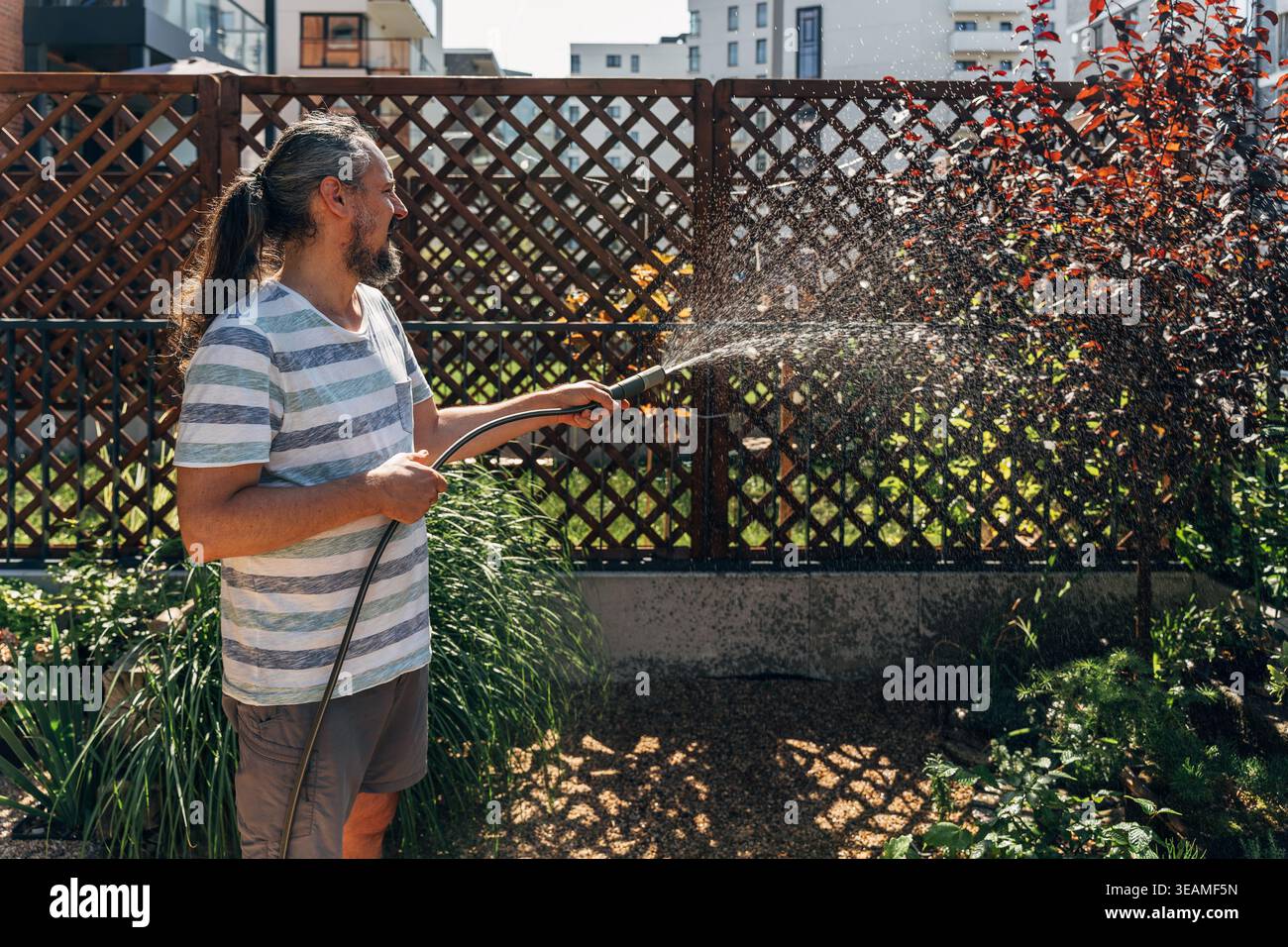 Giardino d'acqua uomo anni '50 su terrazza urbana con condomini sullo sfondo Foto Stock