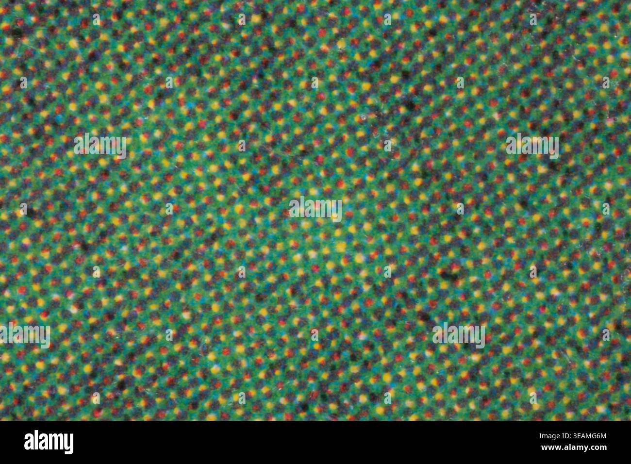 puntini colorati di colore durante la serigrafia sotto il microscopio Foto Stock