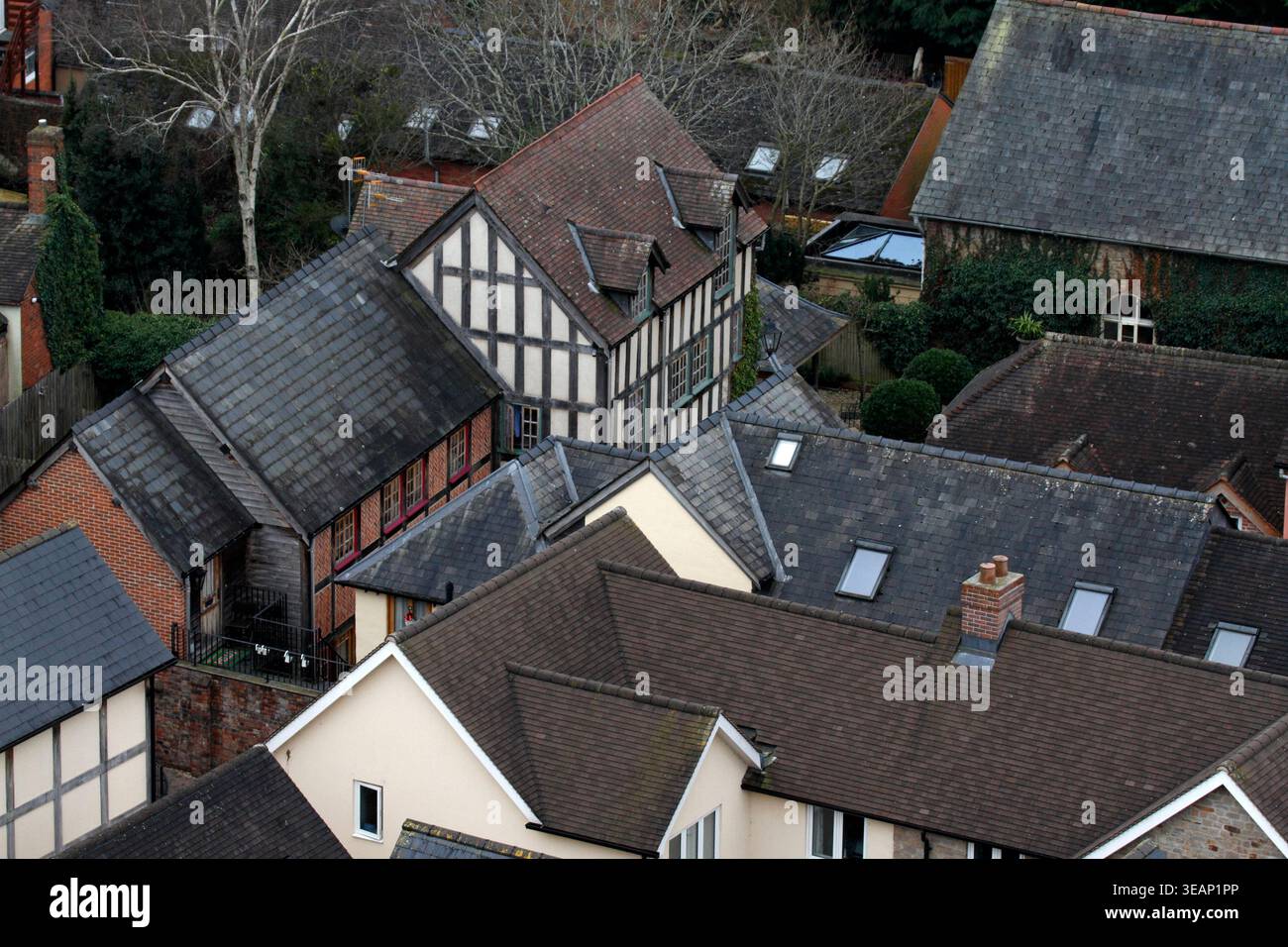Linea del tetto delle case di Ledbury, presa dalla cima della torre della chiesa. Parrocchia di Herefordshire. REGNO UNITO Foto Stock
