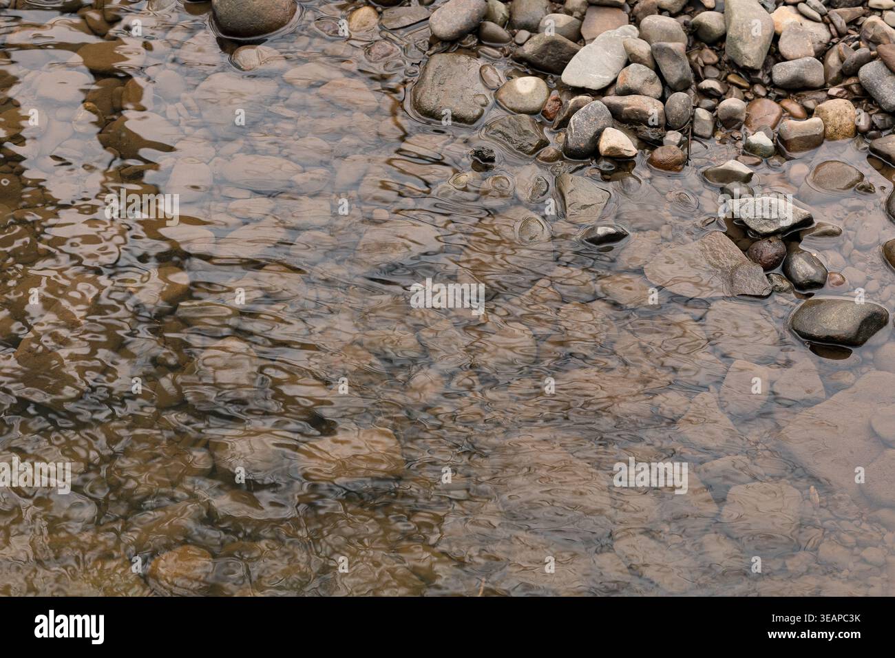 Ruscello poco profondo con pietre e ciottoli in acqua limpida Foto Stock