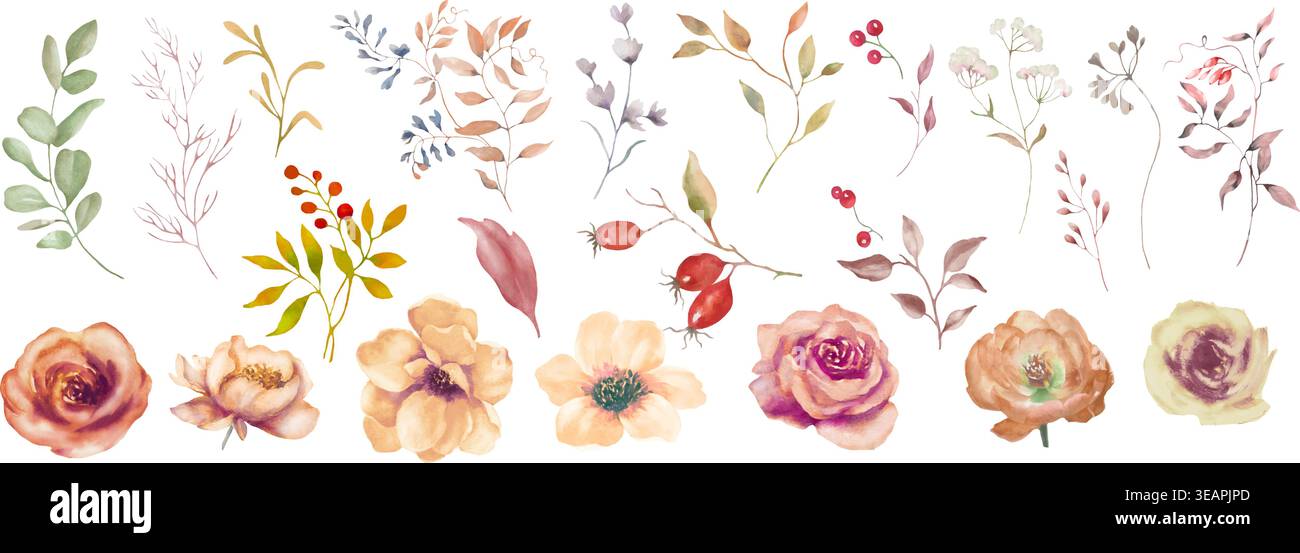 Collezione floreale autunnale acquerello con rose, fiori da giardino, frutti di bosco, foglie autunnali. Set botanico per inviti di nozze rustici. EPS vettoriale. Illustrazione Vettoriale