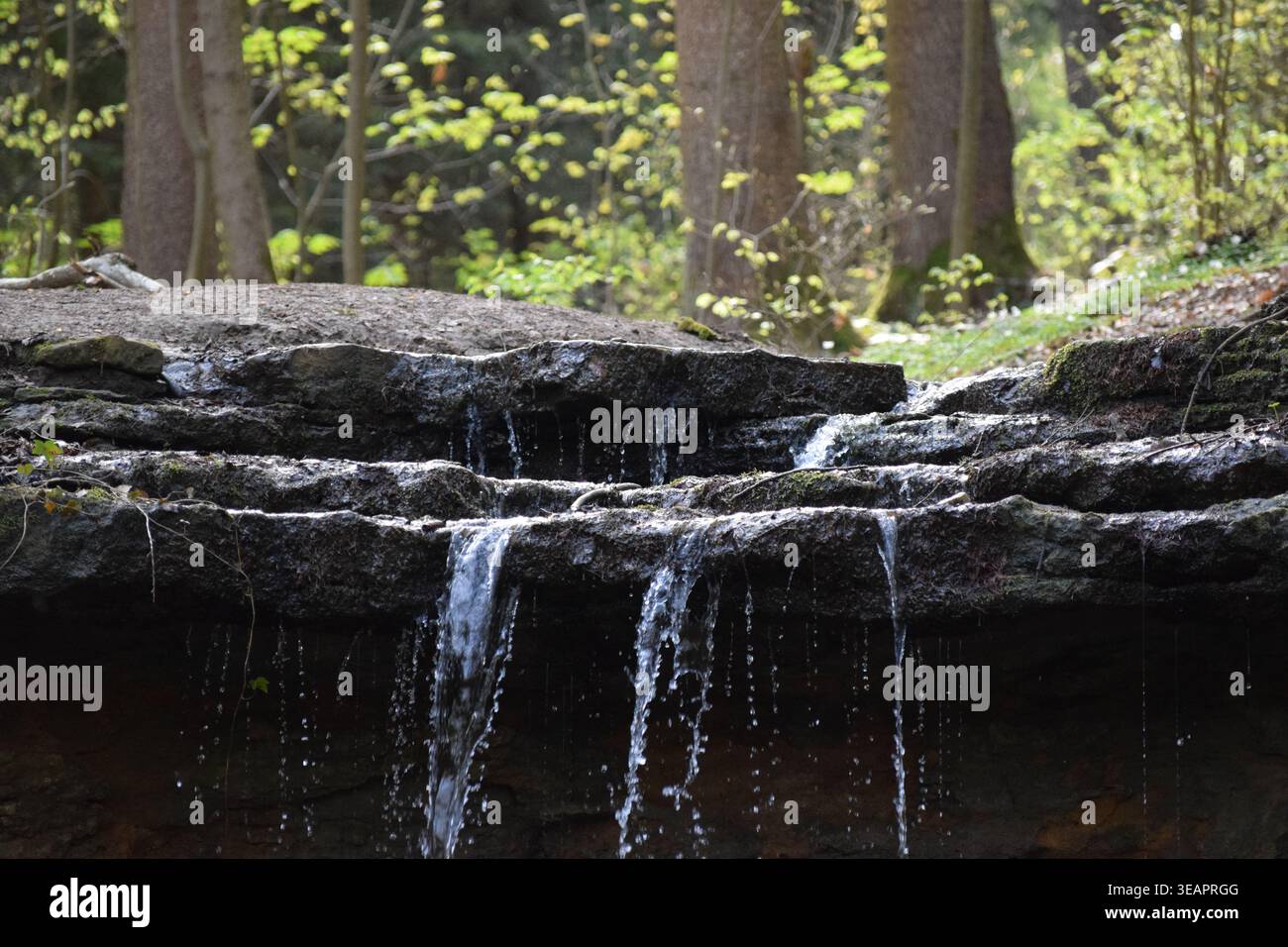Le cascate d'acqua scendono lungo una serie di gradini verso una cascata di primavera Foto Stock