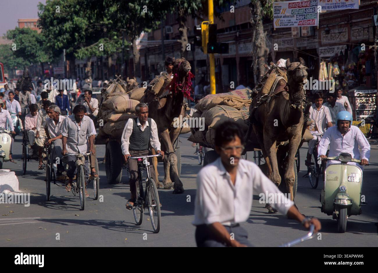 I carretti trainati da cammello condividono la strada trafficata con i pendolari su biciclette e scooter a Jaipur, Rajasthan, India. Foto Stock