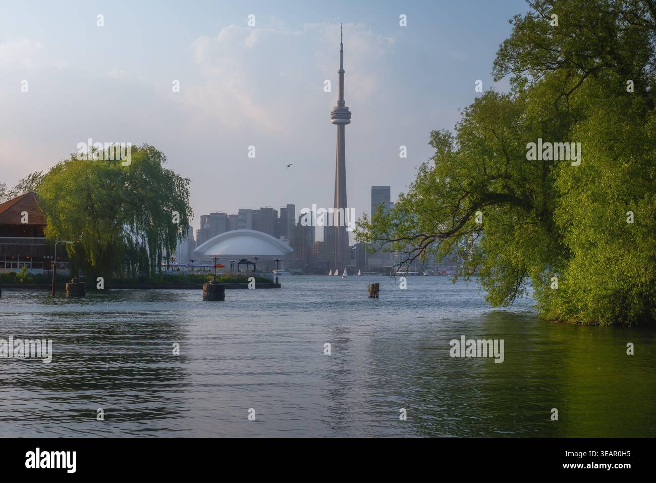 Skyline di Toronto sul lago Ontario vista dal parco delle isole di Toronto - Toronto, Ontario, Canada Foto Stock