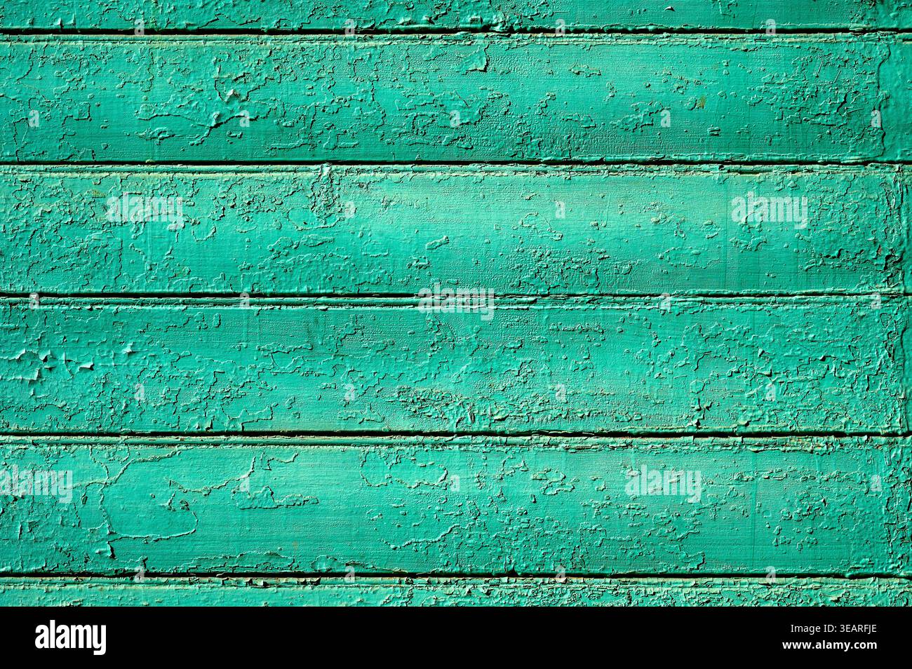 Grana di tavole di legno verdi intemprate per il design, sfondo di vernice per peeling turchese Foto Stock