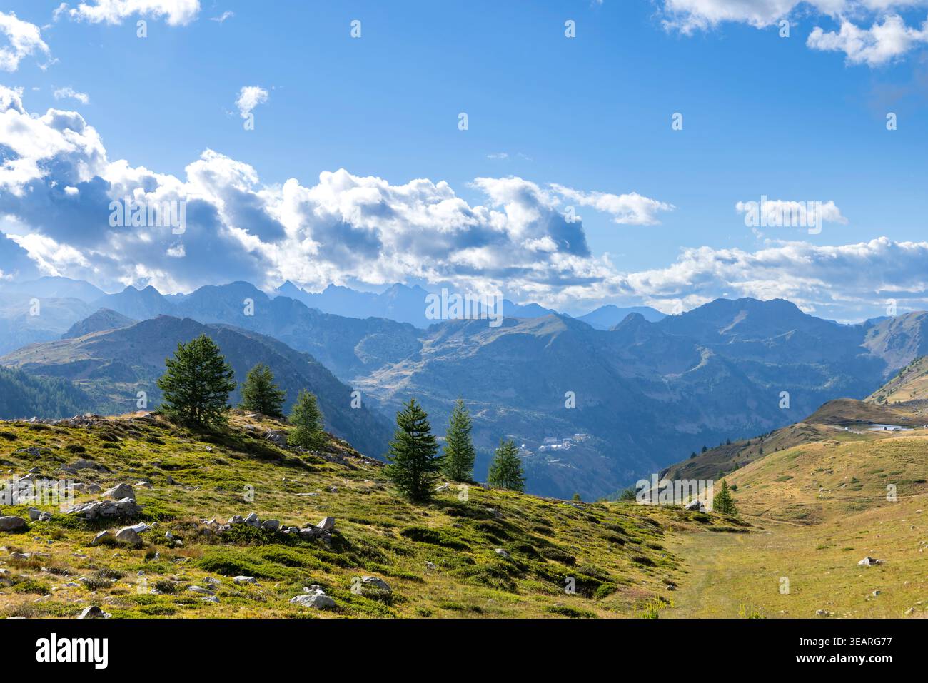 Valle di alta montagna che mostra alberi sparsi e vette lontane sotto un cielo nuvoloso Foto Stock