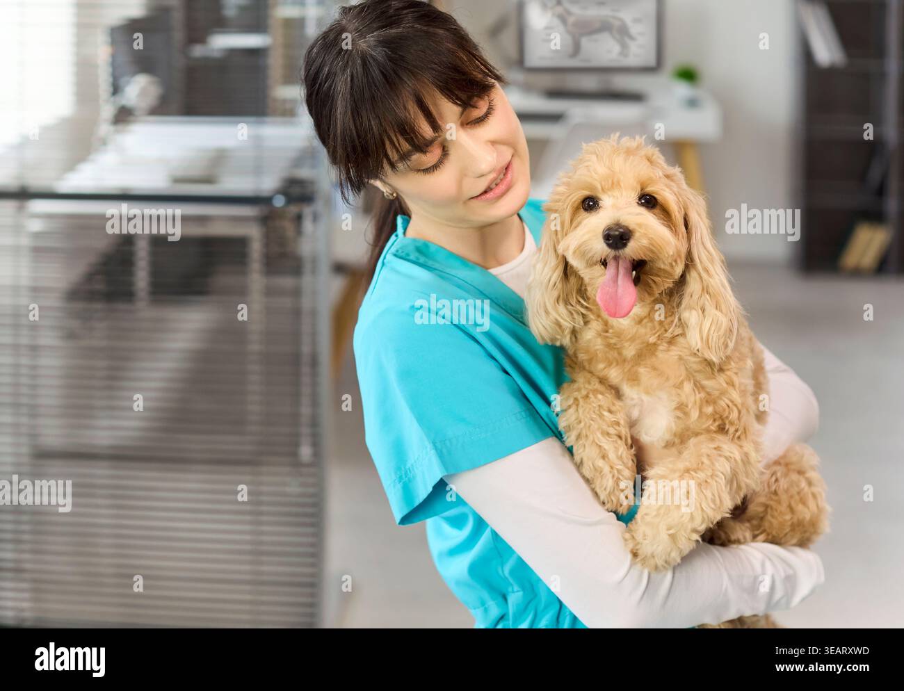Donna sorridente veterinario che tiene felice cane Maltipoo in una moderna clinica per animali Foto Stock