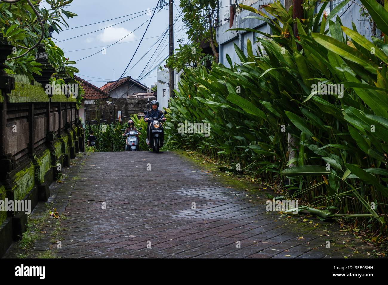 Motociclisti che attraversano la stretta strada tropicale di Bali, Indonesia Foto Stock