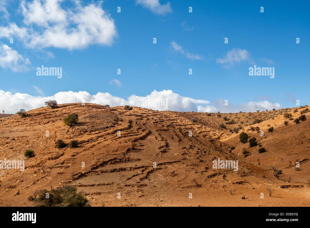 Paesaggio arido caratterizzato da toni caldi e sentieri naturali scavati nel terreno, in contrasto con l'intenso blu del cielo, il Marocco. Foto Stock
