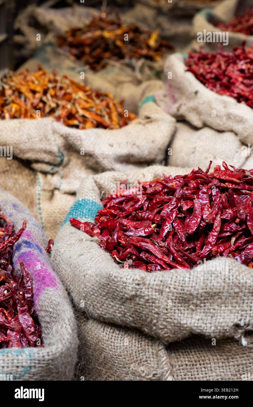 India, Delhi, Vecchia Delhi. Khari Baoli, una strada conosciuta come il più grande mercato all'ingrosso delle spezie dell'Asia. Operante dal XVII secolo. Peperoncino rosso. Foto Stock