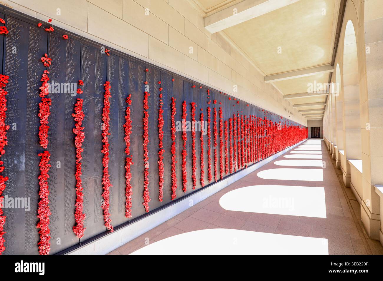 Canberra, ACT, Australia 18 novembre 2025– muro di papaveri rossi all'Australian War Memorial, posto in omaggio al personale di servizio caduto. Il co Foto Stock