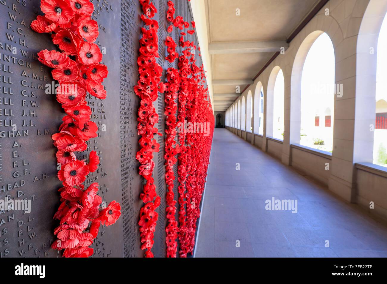 Canberra, ACT, Australia 18 novembre 2025– muro di papaveri rossi all'Australian War Memorial, posto in omaggio al personale di servizio caduto. Il co Foto Stock