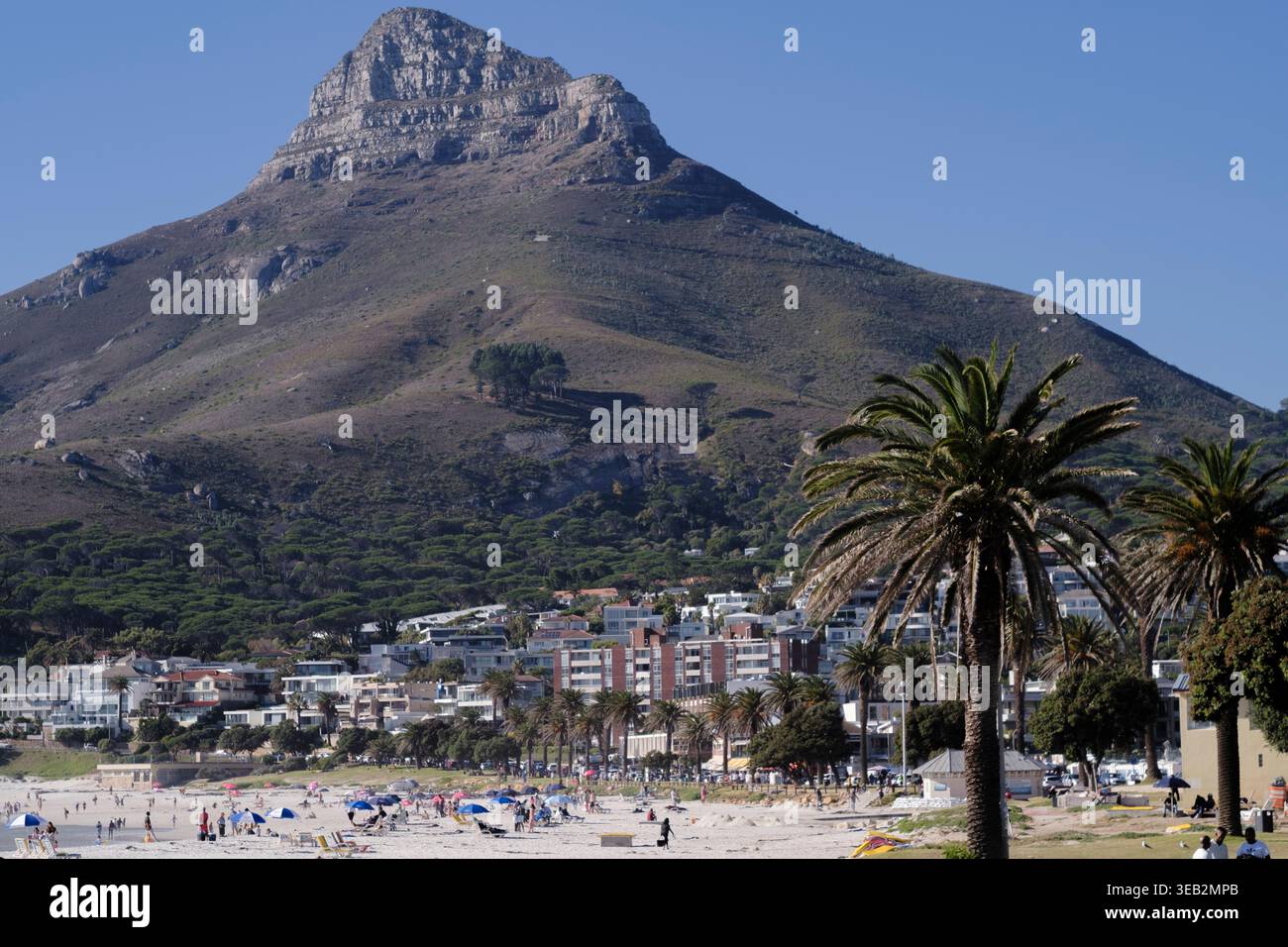 Giornata tipica in spiaggia a Camps Bay, città del Capo, Sud Africa. La testa di Leone sullo sfondo, contro un cielo blu. Foto Stock