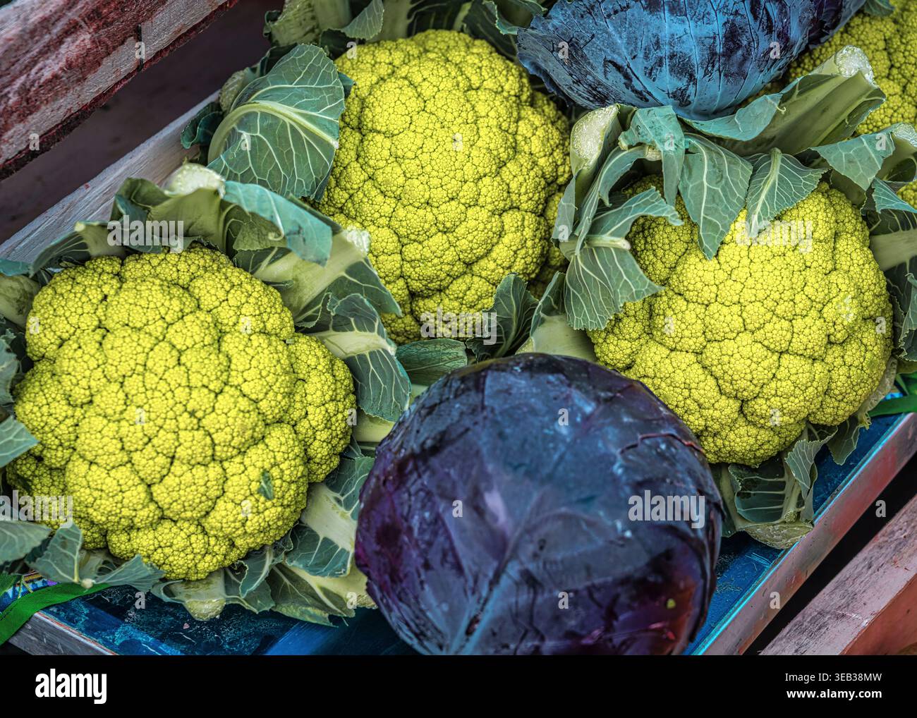 Broccoli Romanesco verdi e cavoli rossi dai colori vivaci si accumulano in alto sulla banchina del mercato. Prodotti freschi per una dieta sana. Abruzzo, Italia, Europa Foto Stock