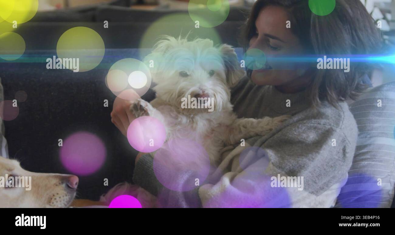 Cucciolo di cane bianco e soffice, donna in maglione a maglia grigia sul divano con cane abbronzato a sinistra, bokeh bluastro Foto Stock