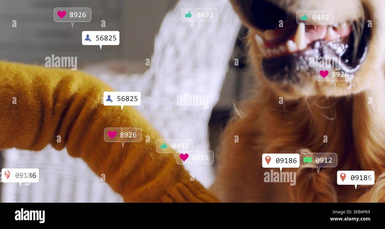 Mostra la museruola dorata del cane in maglia di senape a casa, con sedia in tessuto bianco, badge sociali Foto Stock