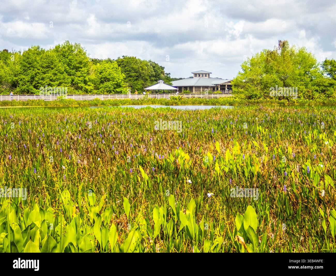 Centro visitatori presso il Green Cay Nature Center & Wetlands a Boynton Beach, Florida, USA Foto Stock
