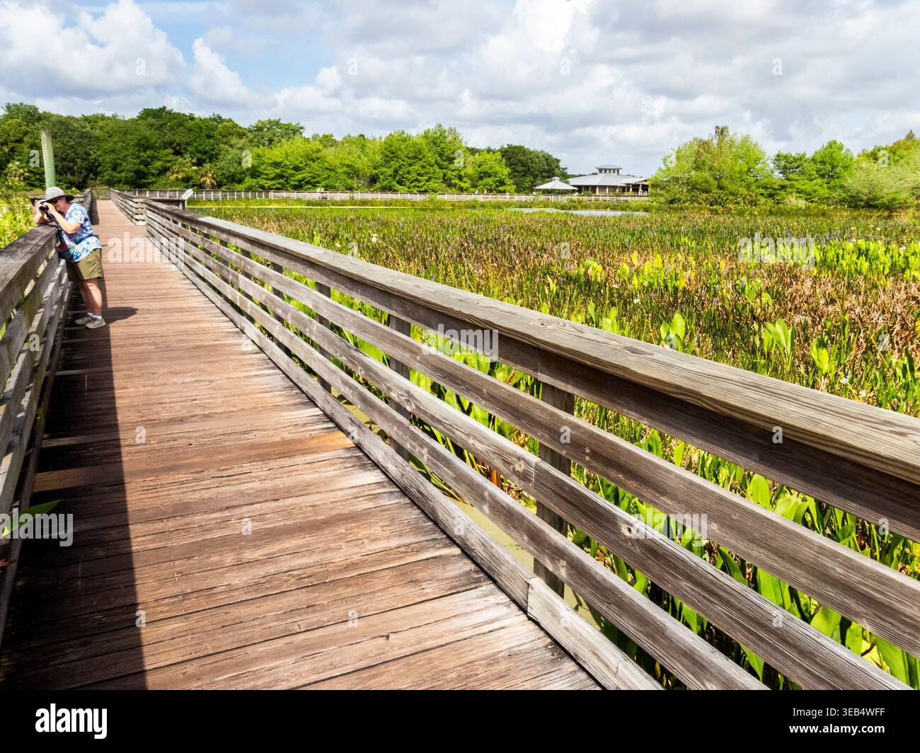 Passeggiata sul lungomare e centro visitatori presso il Green Cay Nature Center & Wetlands a Boynton Beach, Florida, USA Foto Stock