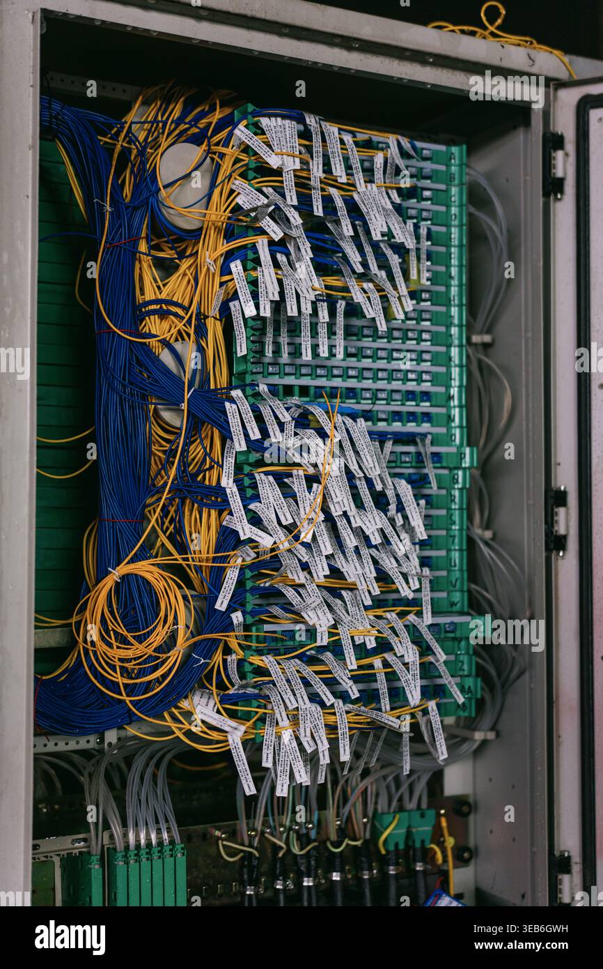 Interno del server rack con cavi di rete organizzati blu e gialli, patch panel e fibra ottica Foto Stock