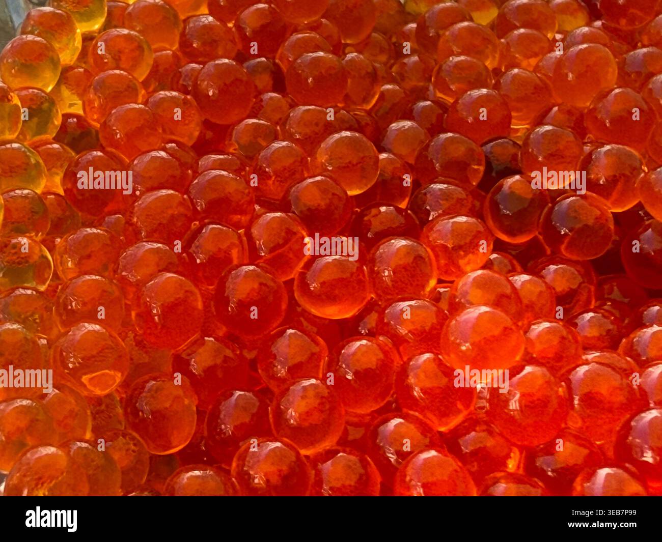 Sfondo caviale rosso con scintillanti uova di salmone dai colori vivaci e forme arrotondate. Foto mobile Foto Stock