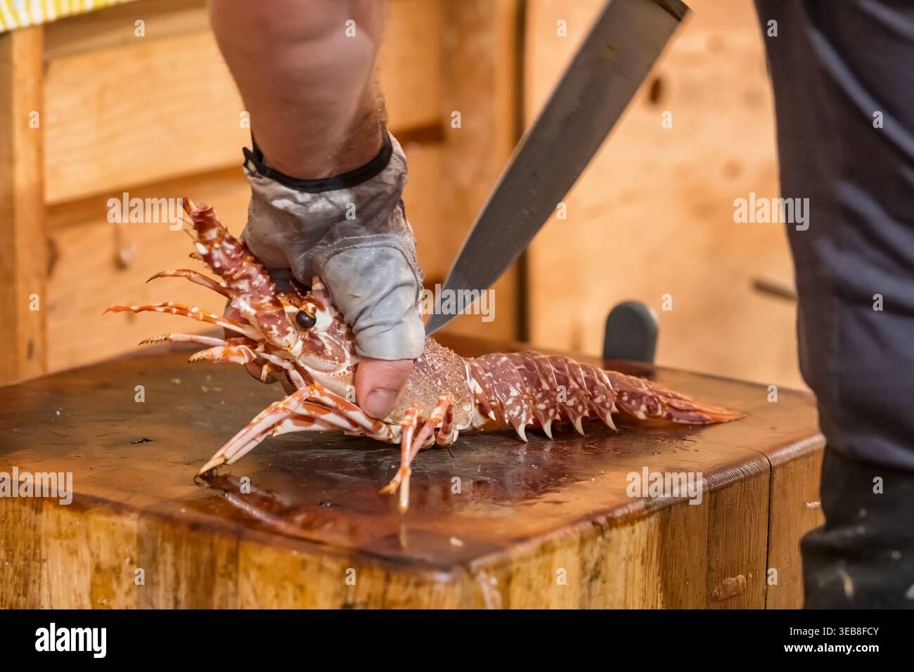 Lo chef prepara l'aragosta fresca con coltello su blocco di legno Foto Stock