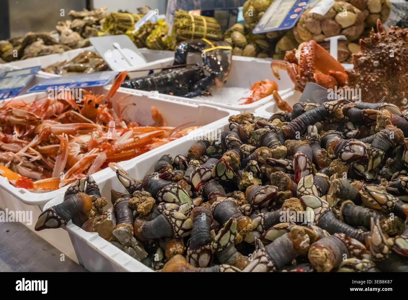Crostacei freschi assortiti e Barnacles d'oca al mercato spagnolo Foto Stock