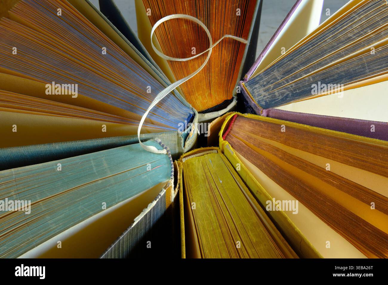 Disposizione libri vintage, piatto. Ritorno a scuola, istruzione, lettura, apprendimento, home Office, formazione aziendale. Primo piano. Foto Stock