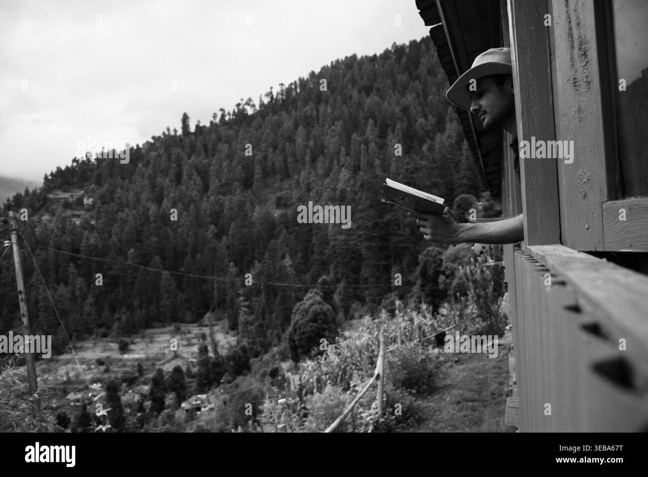 Questa immagine artistica in bianco e nero raffigura un uomo con un cappello che guarda fuori da una finestra su una maestosa foresta di montagna, con un libro in mano, che evoca un senso Foto Stock