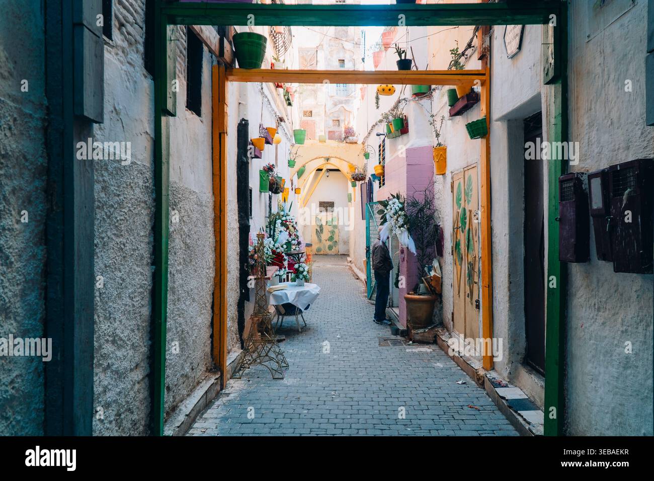 Affascinanti vicoli marocchini con vivaci negozi di fiori, persiane intemprate e architettura rustica. Uno sguardo alla bellezza nascosta della Medina Foto Stock