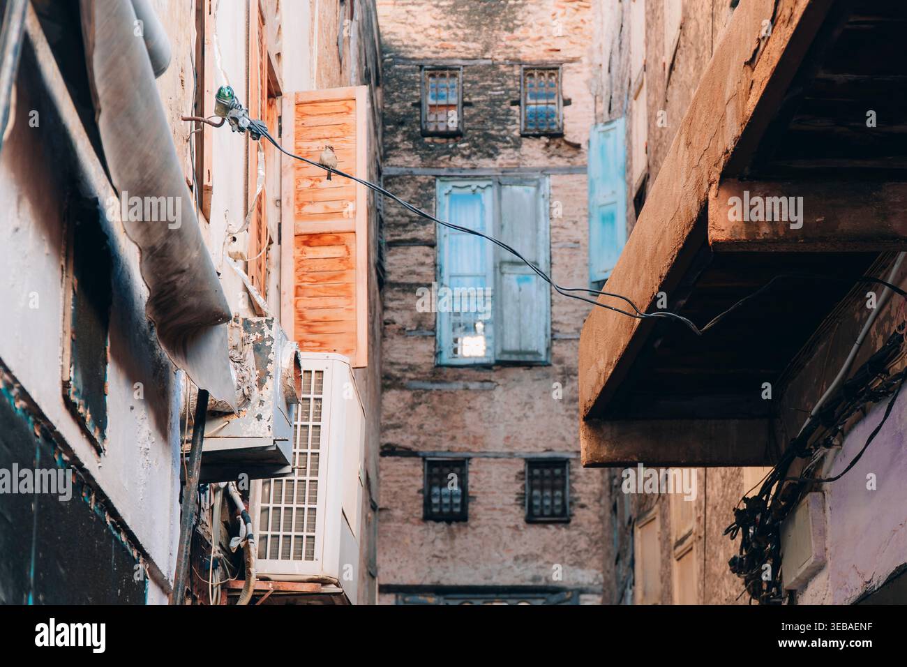 Affascinanti vicoli marocchini con vivaci negozi di fiori, persiane intemprate e architettura rustica. Uno sguardo alla bellezza nascosta della Medina Foto Stock