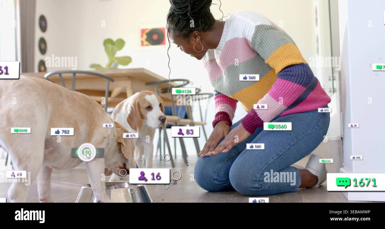 Donna inginocchiata con un maglione che si appoggia verso 2 cani nella ciotola in acciaio da cucina, sovrapposizioni sociali, spazio per copiare Foto Stock