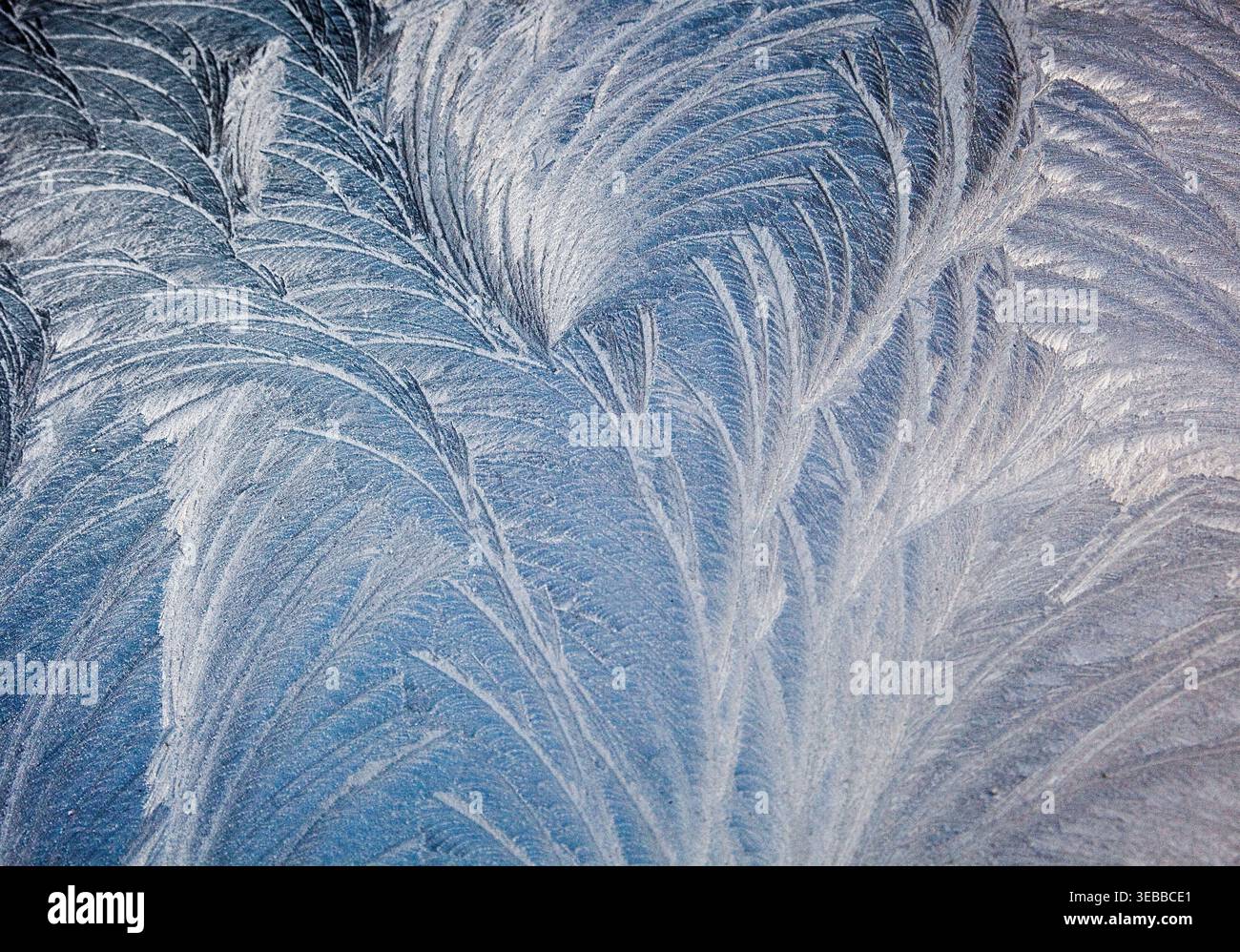 Cristalli di ghiaccio simili a piume sbocciano sul vetro in una mattina ghiacciata, formando delicati motivi ispirati alla felce modellati dal respiro tranquillo dell'inverno. Foto Stock