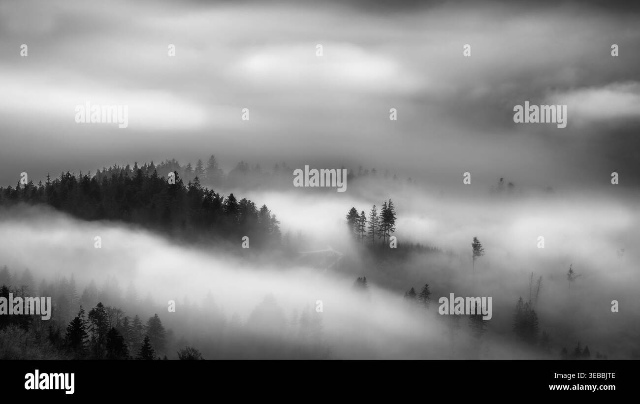 Una mattina d'autunno si gode di una vista sul paesaggio nebbioso Foto Stock