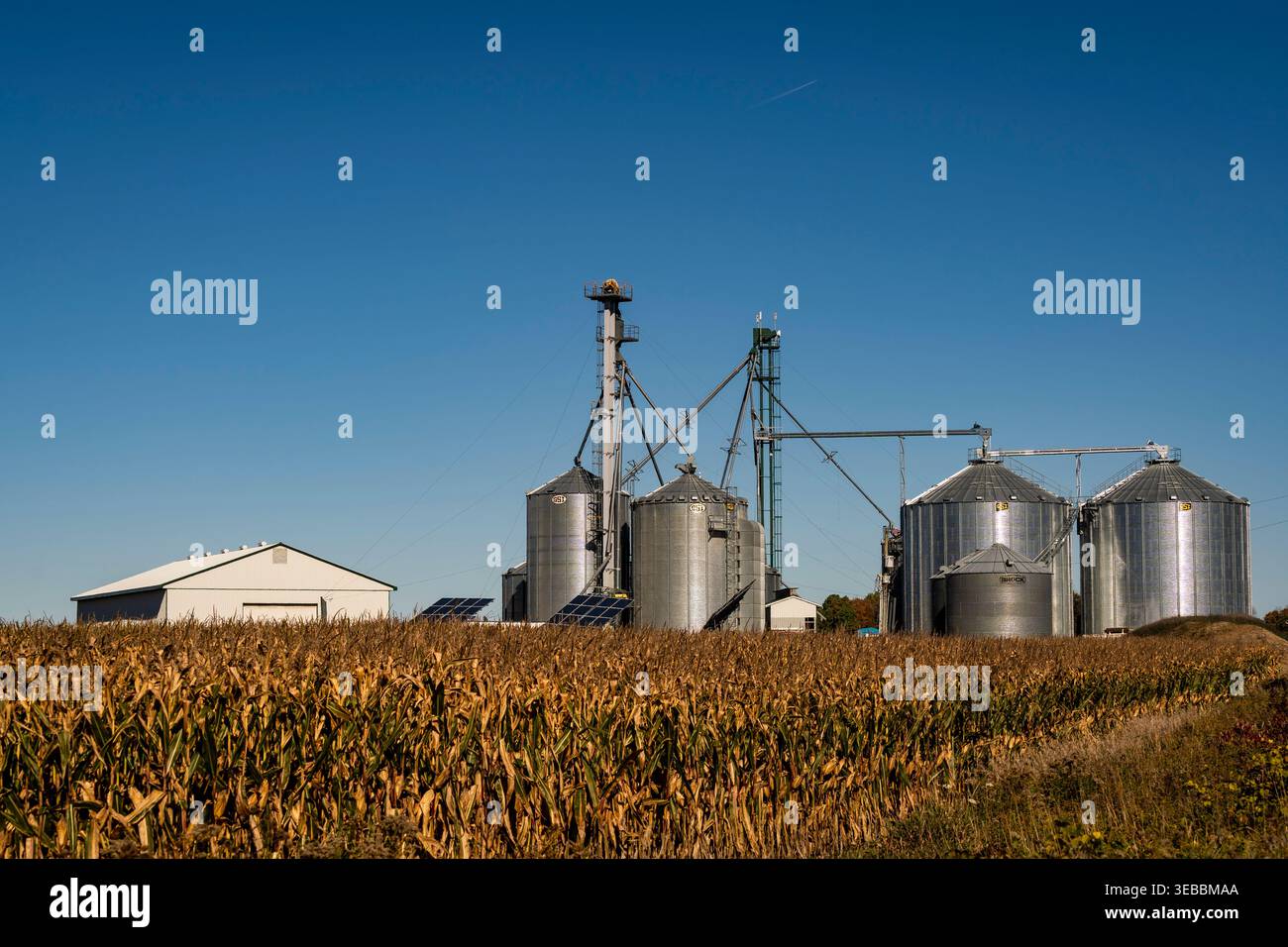 Stalla e silos di grano in una fattoria dell'Ontario, Canada. Foto Stock