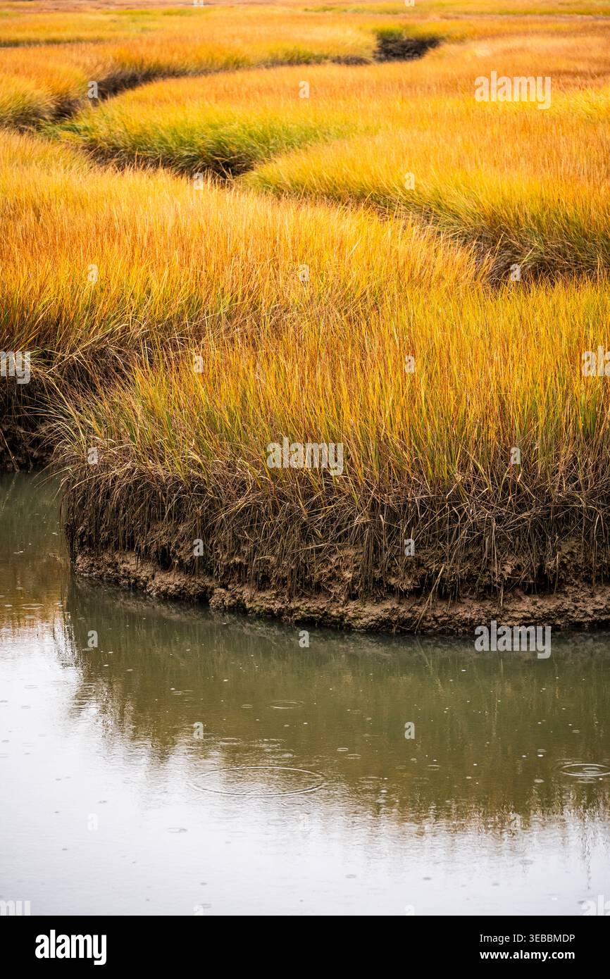 I canali si snodano attraverso una palude salata. Foto Stock