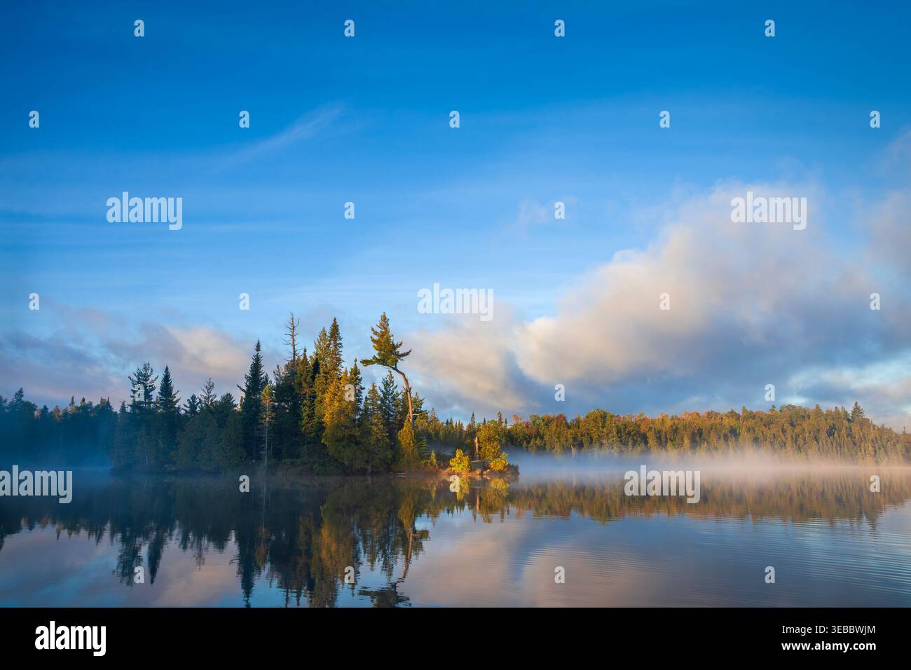 Isola con nebbia su un lago del Minnesota settentrionale all'alba Foto Stock