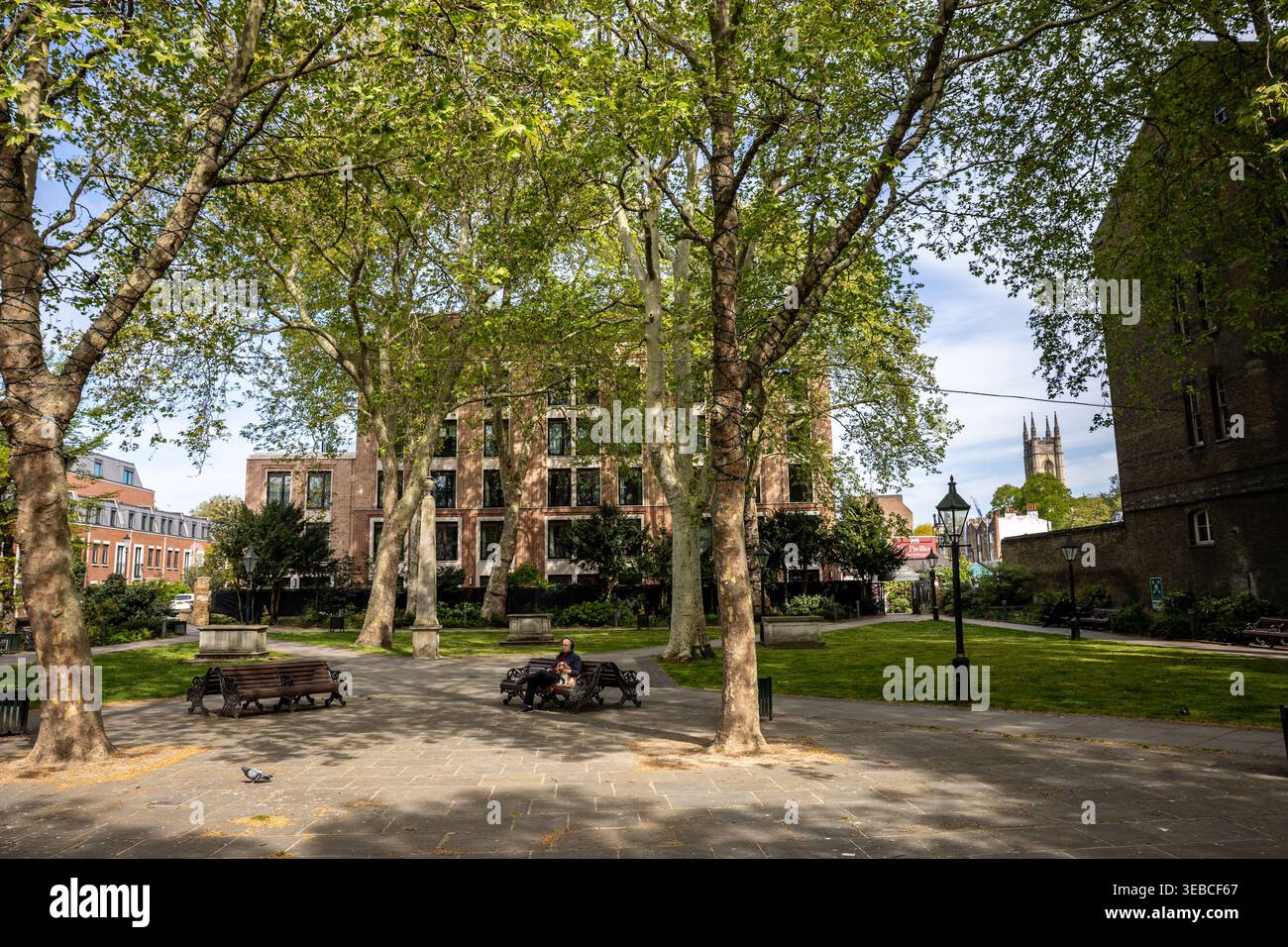 Dovehouse Green, Chelsea London, Kings Road. Parco a Chelsea Londra Foto Stock