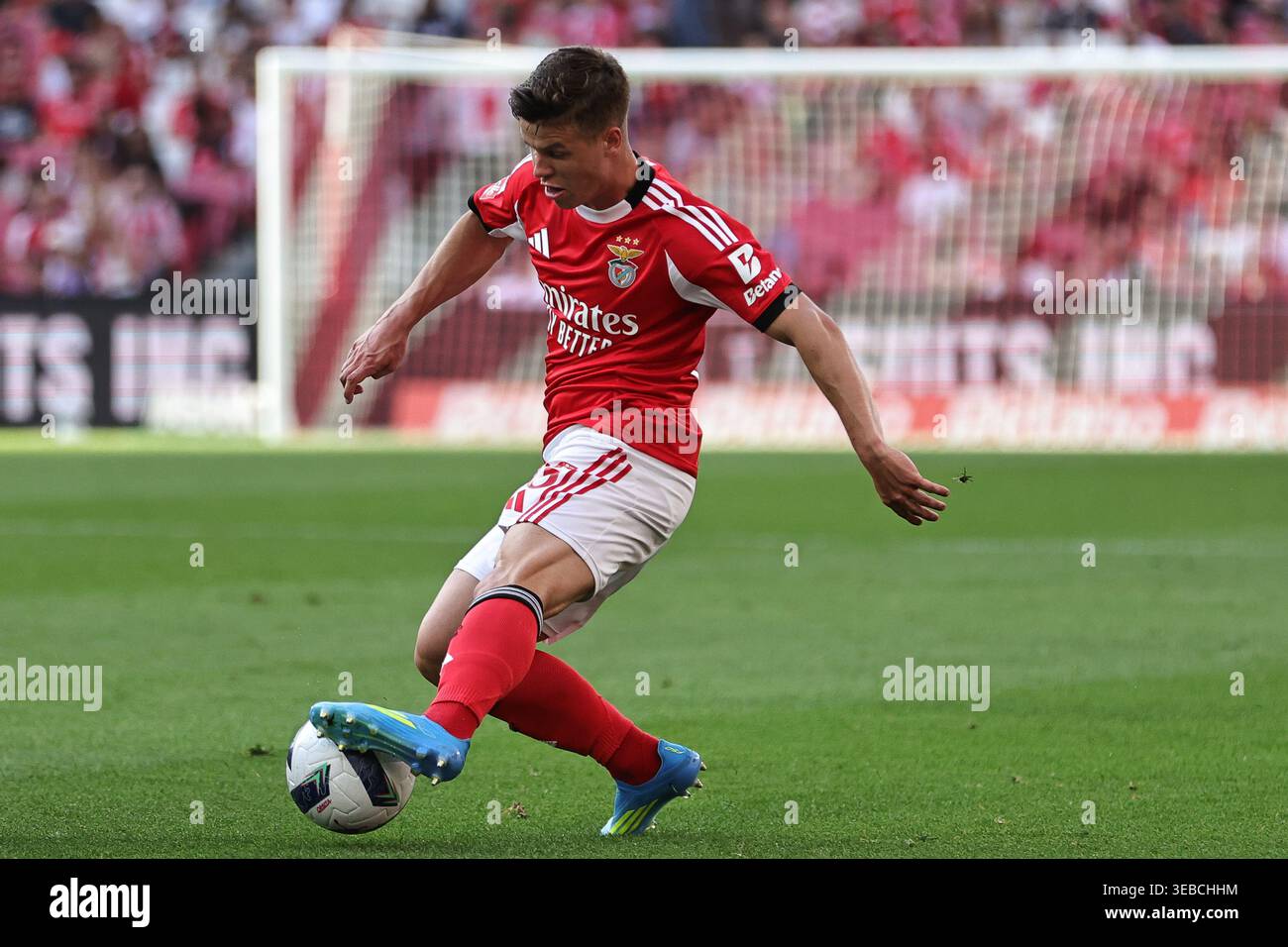 Lisbona, Portogallo. 25 aprile 2026. Samuel Dahl della SL Benfica durante la partita Betclic della Liga Portugal tra SL Benfica e Moreirense FC giocata allo Sport Lisboa e Benfica Stadium il 25 aprile 2026 a Lisbona, Portogallo. (Foto di Pedro Reis/PRESSINPHOTO) credito: PRESSINPHOTO SPORTS AGENCY/Alamy Live News Foto Stock