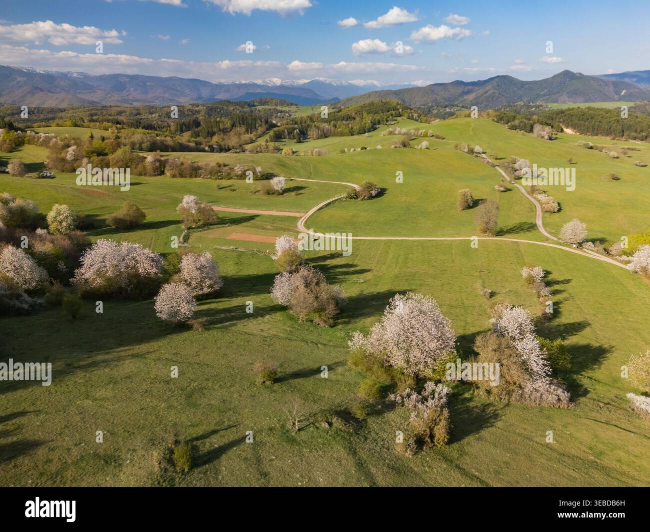 Vista aerea di Ponicka Lehotka con ciliegi in fiore su colline verdi ondulate e sentieri tortuosi sotto un cielo blu Banska Bystrica, Banskobystricky k Foto Stock