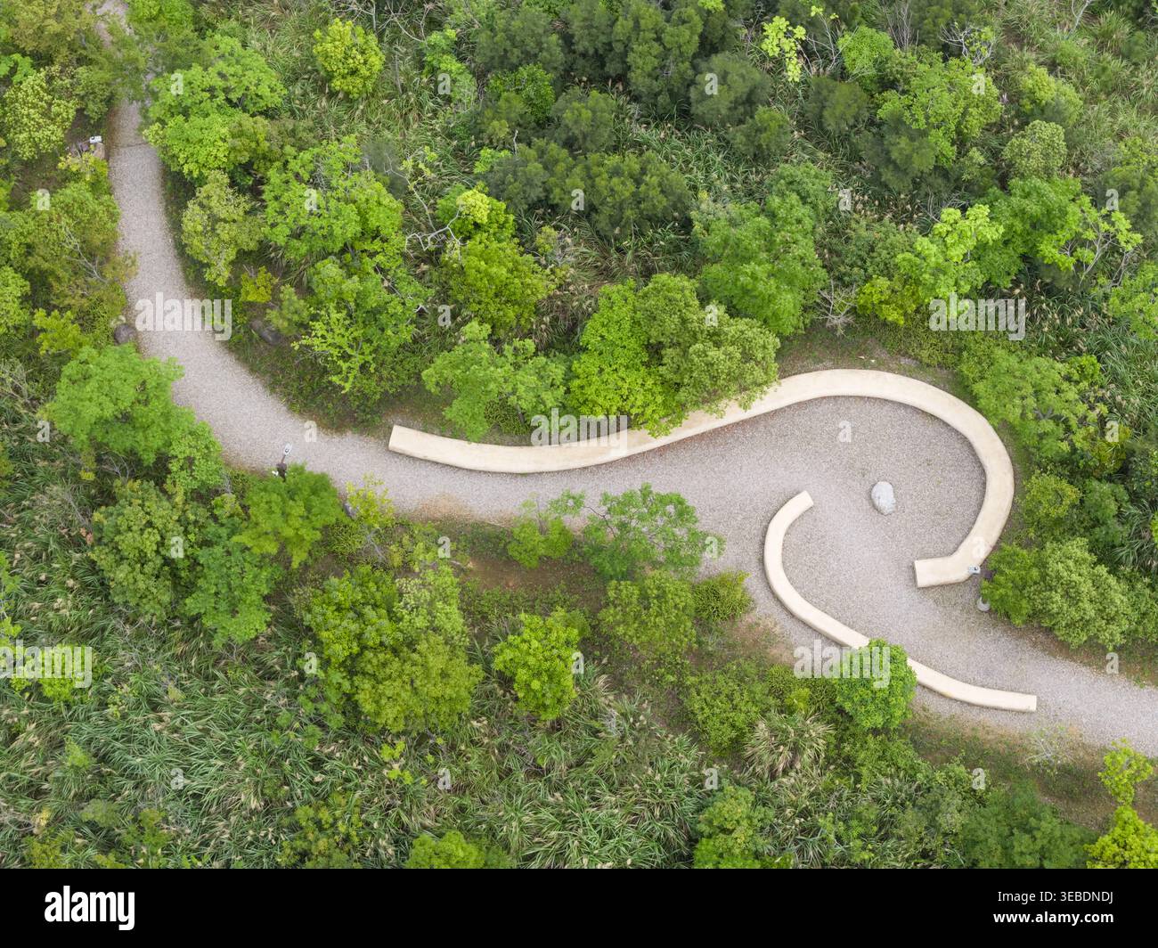 Veduta aerea di un tortuoso sentiero di ghiaia nel parco con panche curve in legno circondate da fitti alberi verdi e lussureggiante vegetazione di Taiwan. Foto Stock