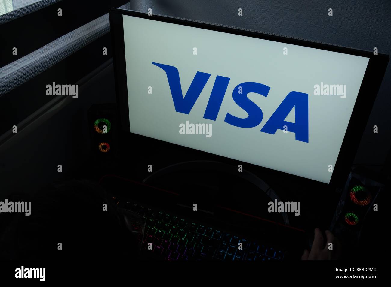 Il marchio aziendale Visa Financial Services viene visualizzato su un monitor di un computer in un ufficio domestico buio Foto Stock