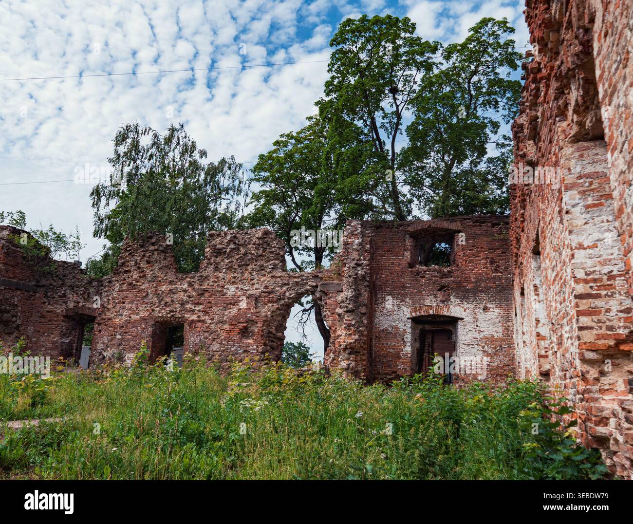 Le pareti di mattoni intemprati di un vecchio edificio si ergono come rovine, circondate da un vivace verde fogliame sotto un cielo blu nuvoloso Foto Stock