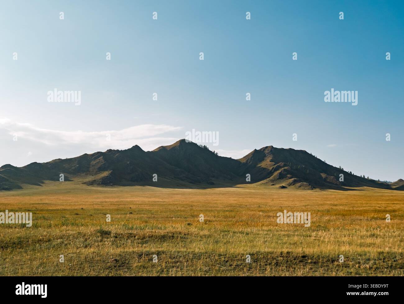 Vasto paesaggio steppico con praterie dorate che si estendono fino a aspre montagne sotto un cielo azzurro Foto Stock