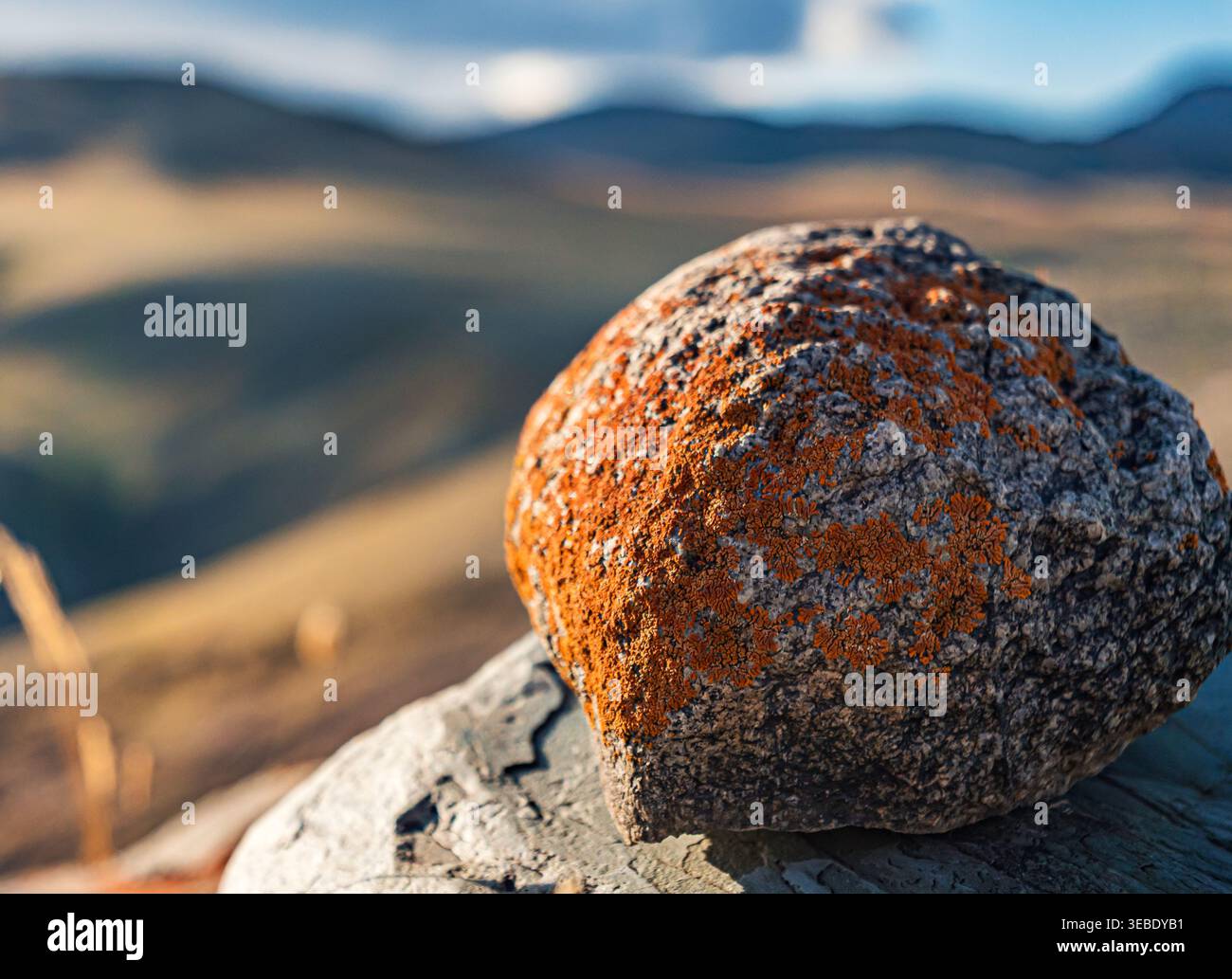 Roccia ricoperta di licheni arancioni che poggia su una formazione rocciosa più ampia nelle soleggiate montagne dell'Altai Foto Stock