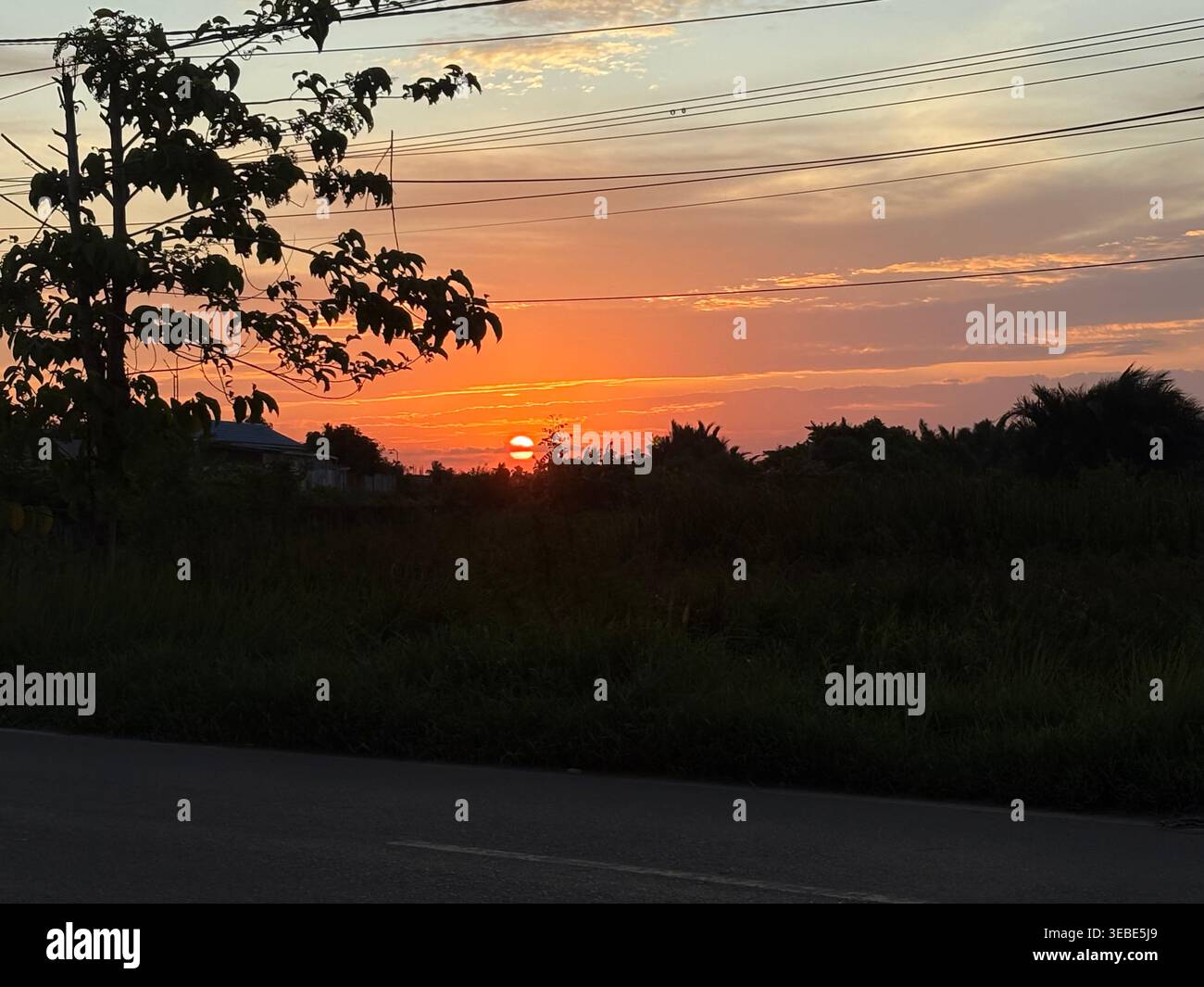 Sotto il vasto cielo, trovare pace nella semplicità di un mondo incontaminato dal caos. - Immagine stock catturata con smartphone