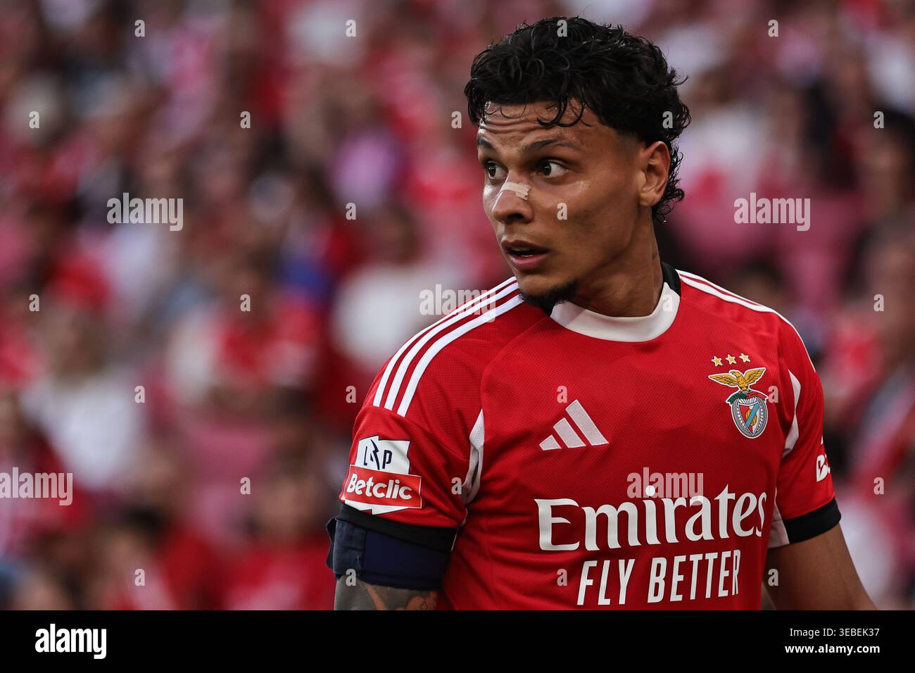 Lisbona, Portogallo. 25 aprile 2026. Richard Rios della SL Benfica durante la partita Betclic della Liga Portugal tra SL Benfica e Moreirense FC giocata allo Sport Lisboa e Benfica Stadium il 25 aprile 2026 a Lisbona, Portogallo. (Foto di Pedro Reis/PRESSINPHOTO) credito: PRESSINPHOTO SPORTS AGENCY/Alamy Live News Foto Stock