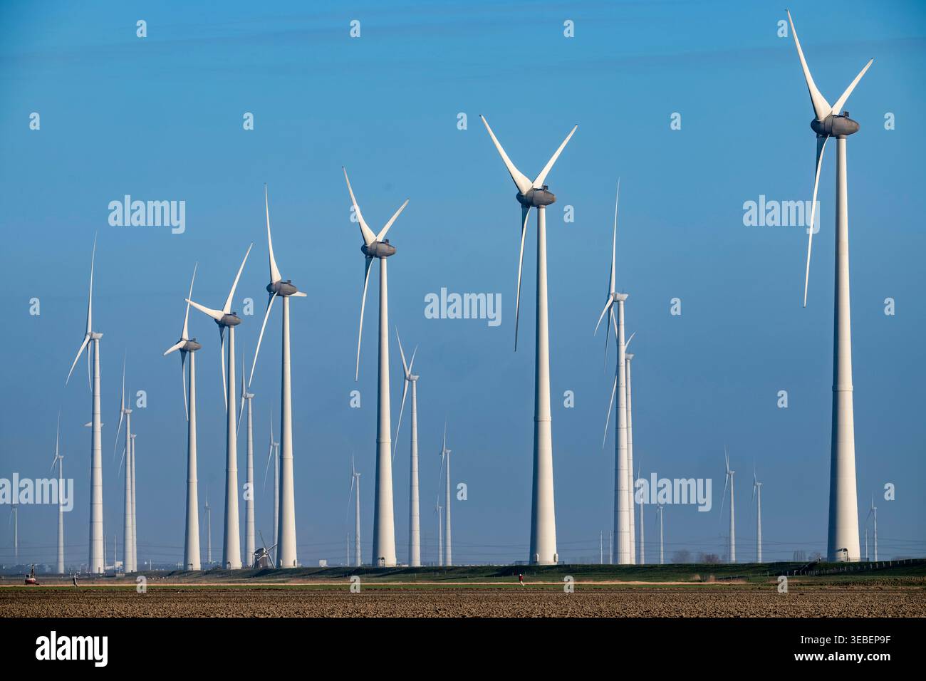 I parchi eolici Westereems e Growind, nel nord dei Paesi Bassi, vicino a Eemshaven, un centro di energia; oltre all'energia eolica, l'area ospita Foto Stock