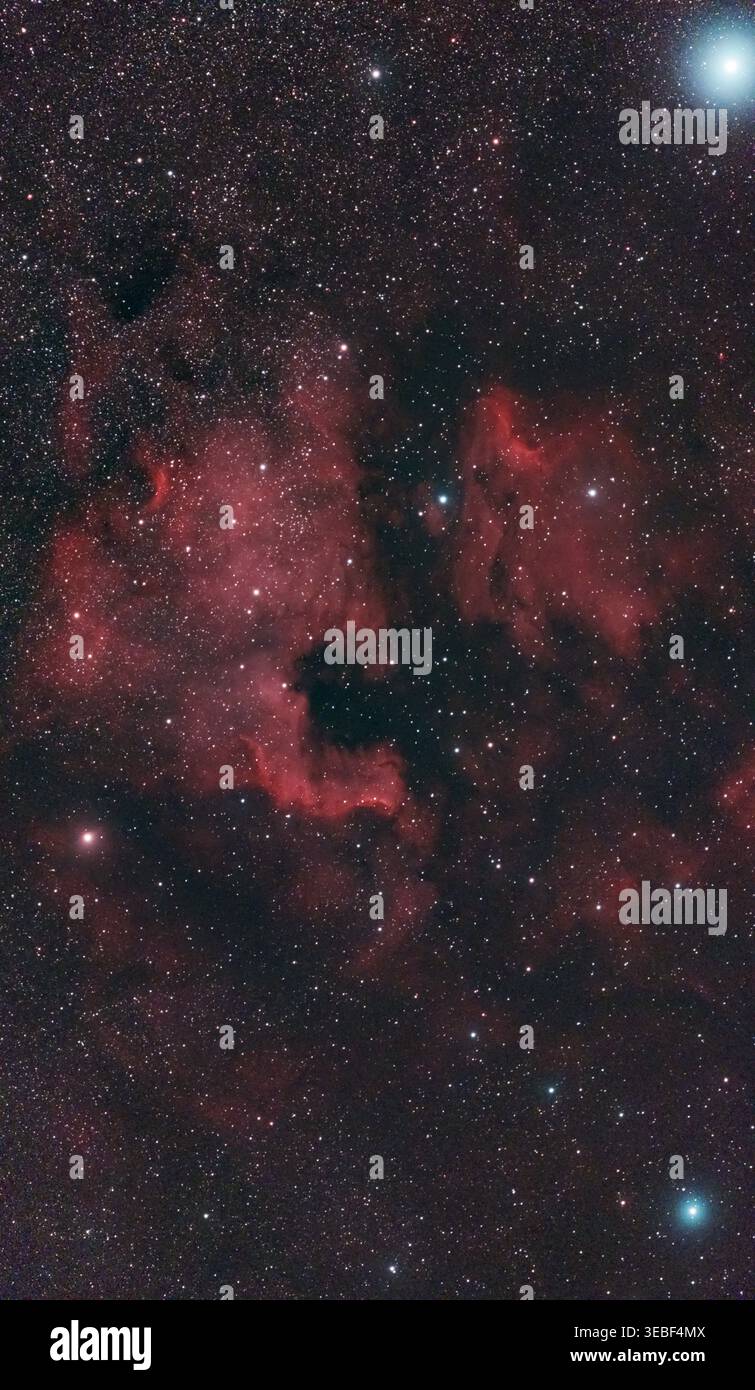 Londra, Regno Unito. 26 aprile 2026. Fotografia a campo largo della stella supergigante blu-bianca Deneb nella costellazione Cygnus (in alto a destra) con nebulosa di emissione la nebulosa Pelican (al centro a destra) e la nebulosa Nord America (al centro a sinistra) catturate in un'esposizione di 2,5 ore. Dense starfield nella parte superiore del telaio fa parte della via Lattea. Crediti: Malcolm Park/Alamy Live News Foto Stock