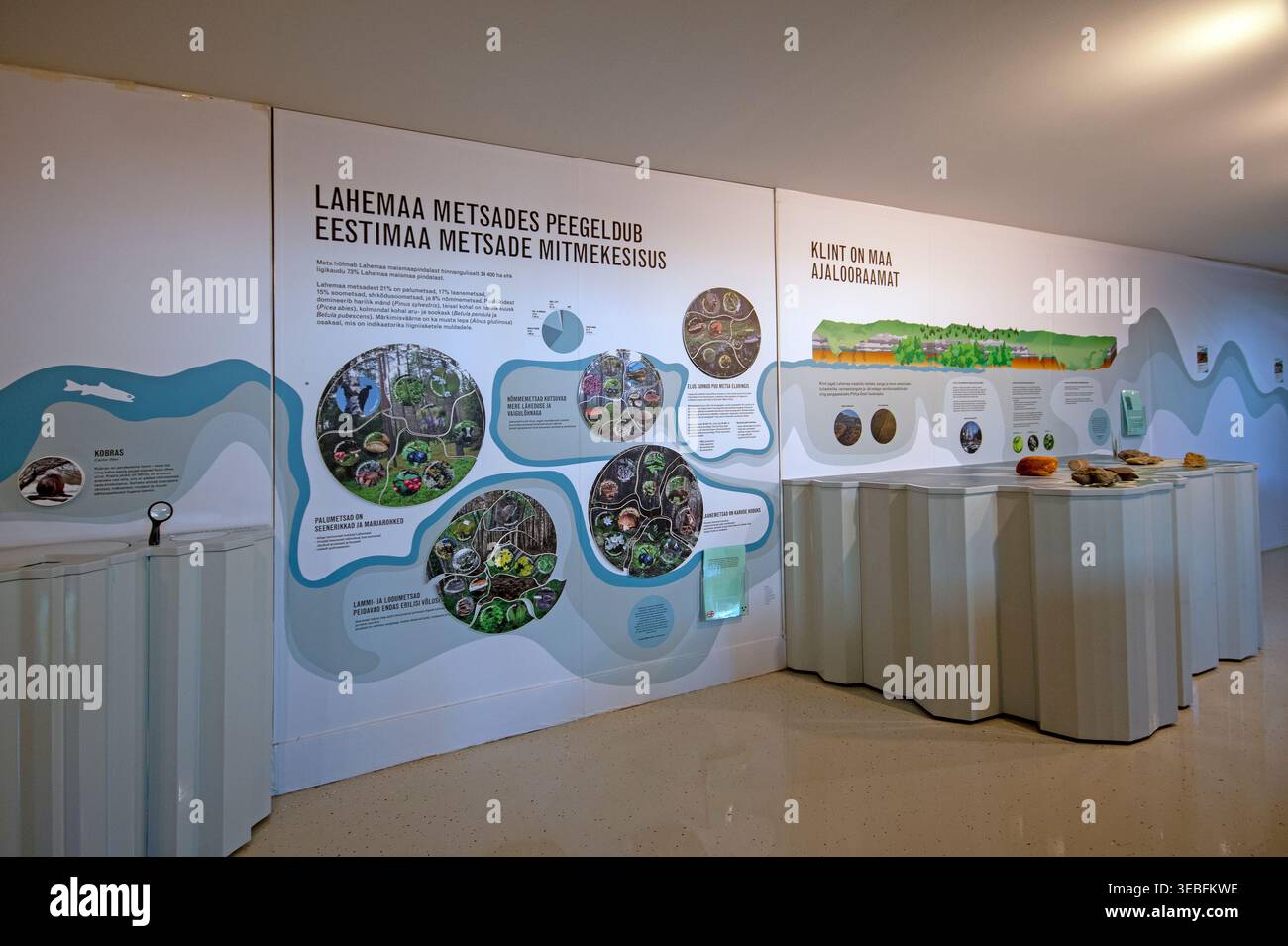 Museo del centro visitatori del Parco Nazionale di Lahemaa, Palmse, contea di Lääne-Viru, Estonia, Europa Foto Stock